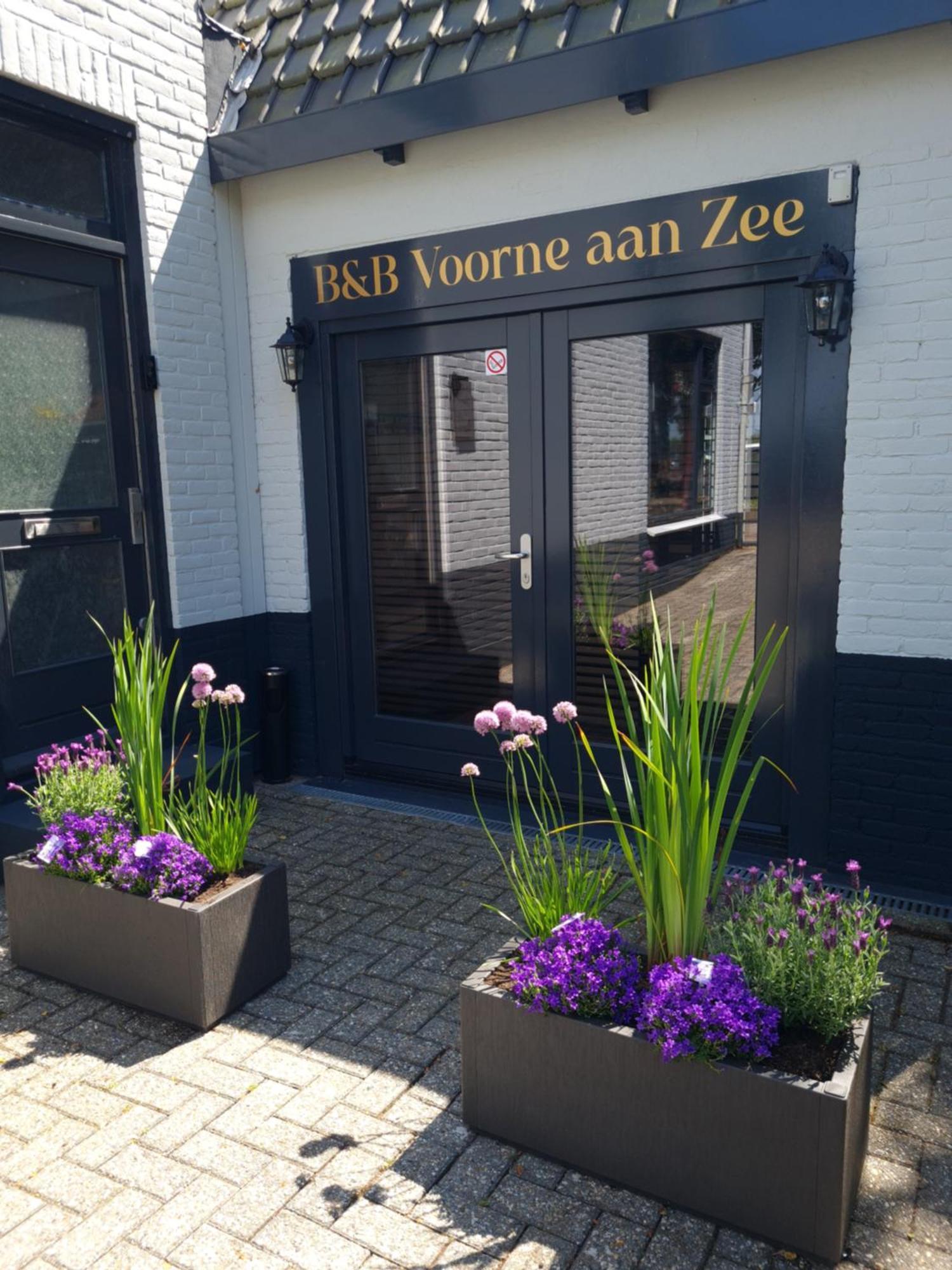 B&B Voorne Aan Zee Rockanje Dış mekan fotoğraf